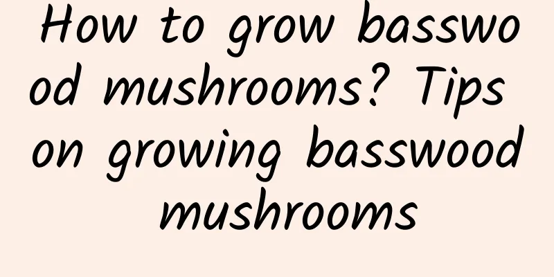 How to grow basswood mushrooms? Tips on growing basswood mushrooms