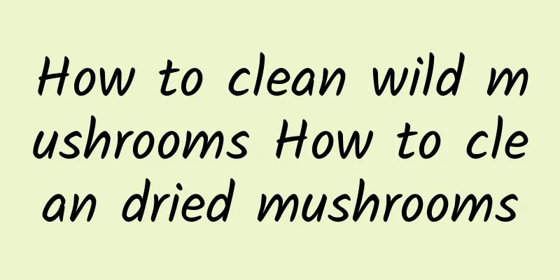 How to clean wild mushrooms How to clean dried mushrooms