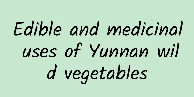 Edible and medicinal uses of Yunnan wild vegetables