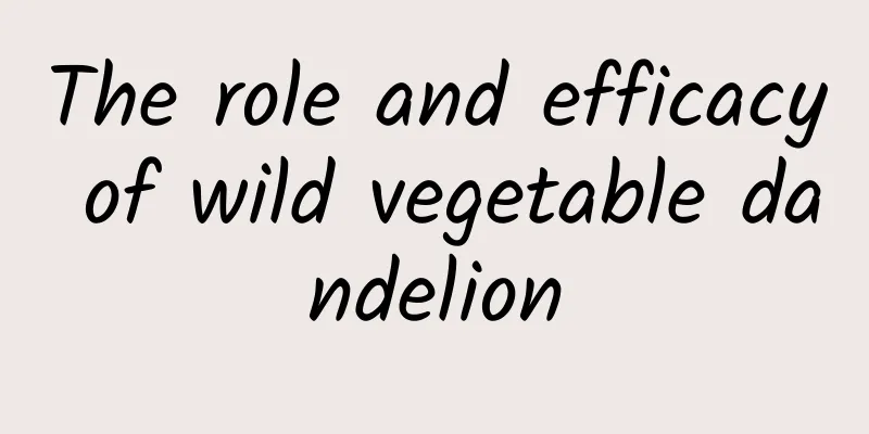 The role and efficacy of wild vegetable dandelion