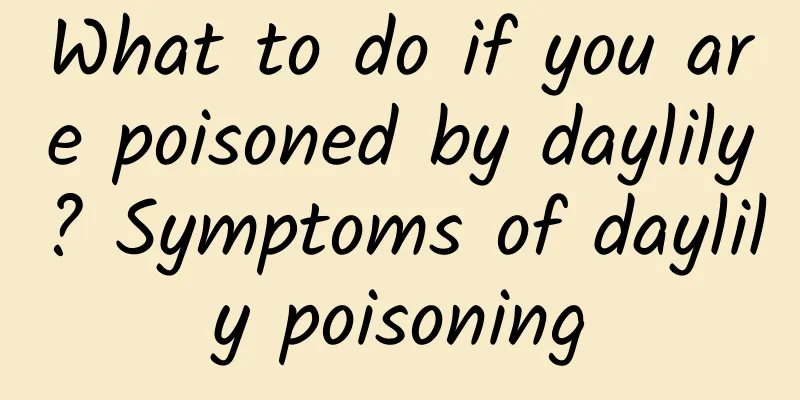 What to do if you are poisoned by daylily? Symptoms of daylily poisoning