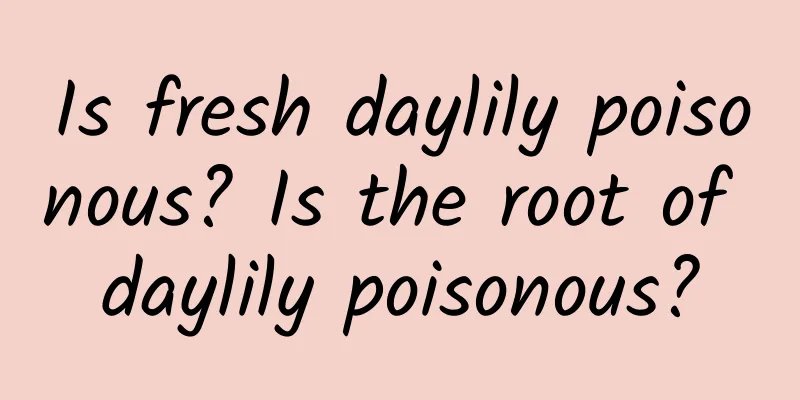 Is fresh daylily poisonous? Is the root of daylily poisonous?