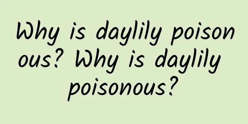 Why is daylily poisonous? Why is daylily poisonous?