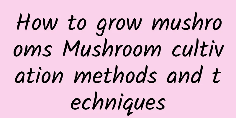 How to grow mushrooms Mushroom cultivation methods and techniques