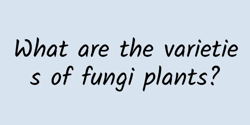 What are the varieties of fungi plants?