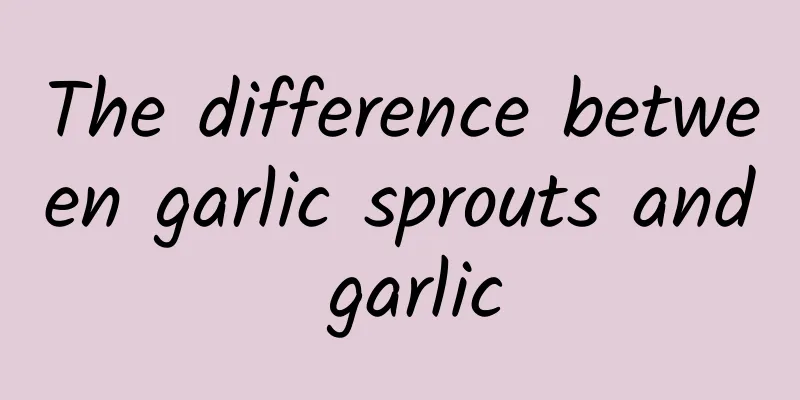 The difference between garlic sprouts and garlic