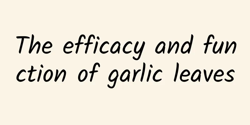 The efficacy and function of garlic leaves