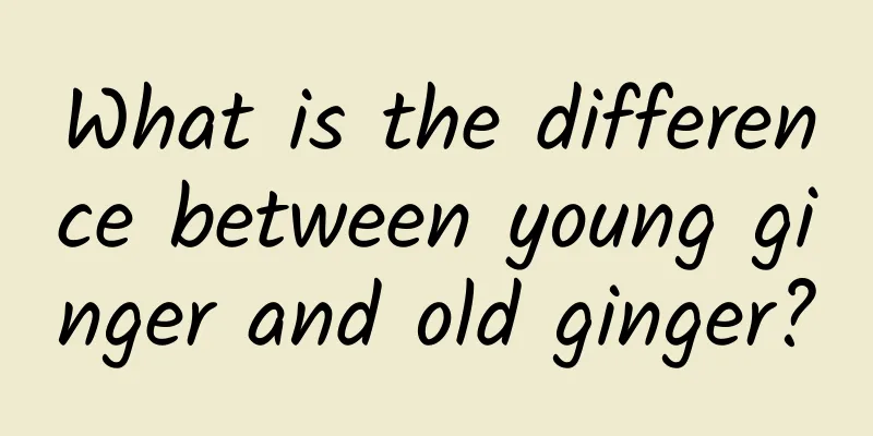 What is the difference between young ginger and old ginger?