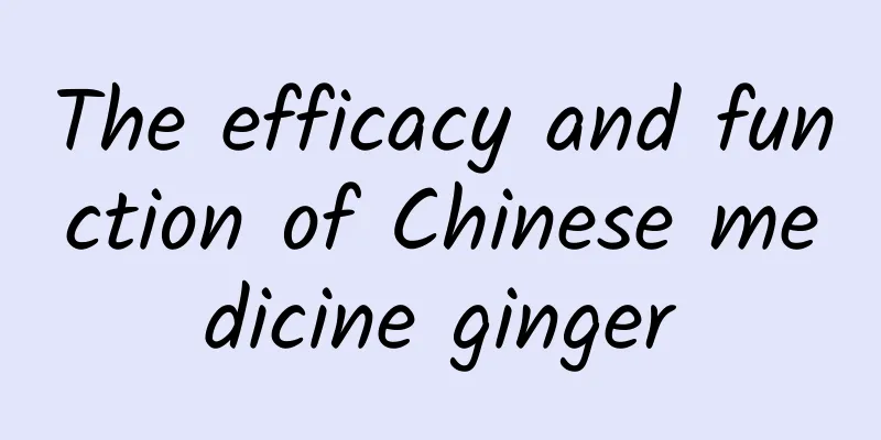 The efficacy and function of Chinese medicine ginger