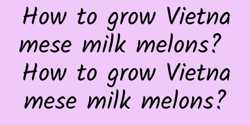 How to grow Vietnamese milk melons? How to grow Vietnamese milk melons?