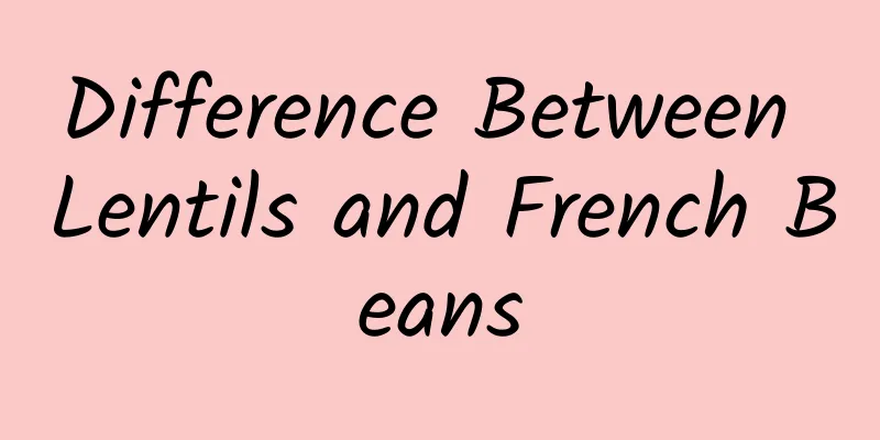 Difference Between Lentils and French Beans