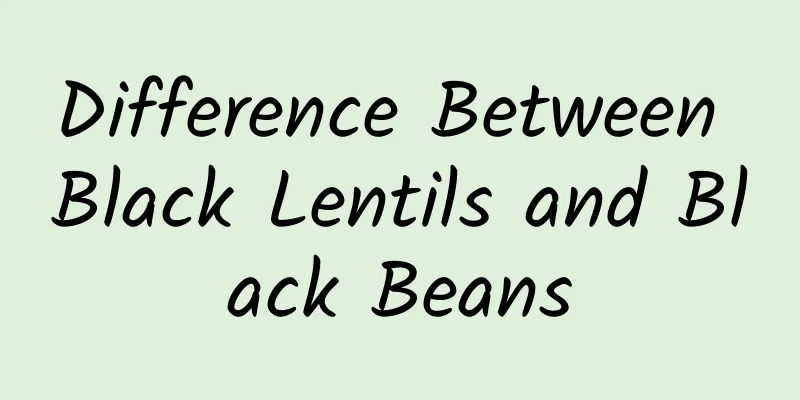 Difference Between Black Lentils and Black Beans