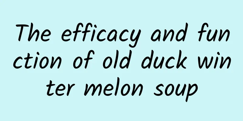 The efficacy and function of old duck winter melon soup