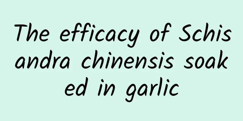 The efficacy of Schisandra chinensis soaked in garlic