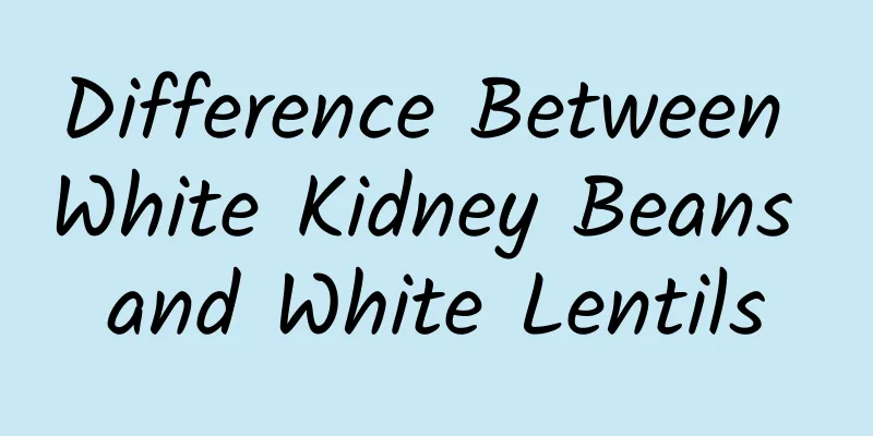 Difference Between White Kidney Beans and White Lentils