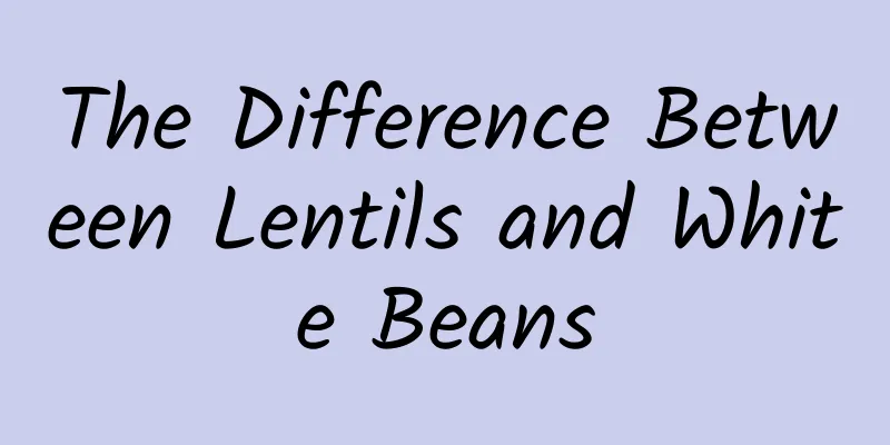 The Difference Between Lentils and White Beans