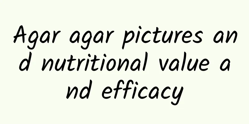 Agar agar pictures and nutritional value and efficacy