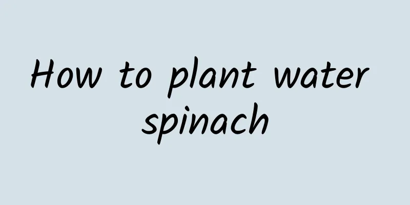 How to plant water spinach