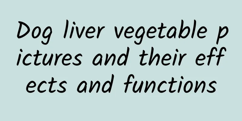 Dog liver vegetable pictures and their effects and functions