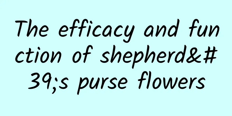 The efficacy and function of shepherd's purse flowers