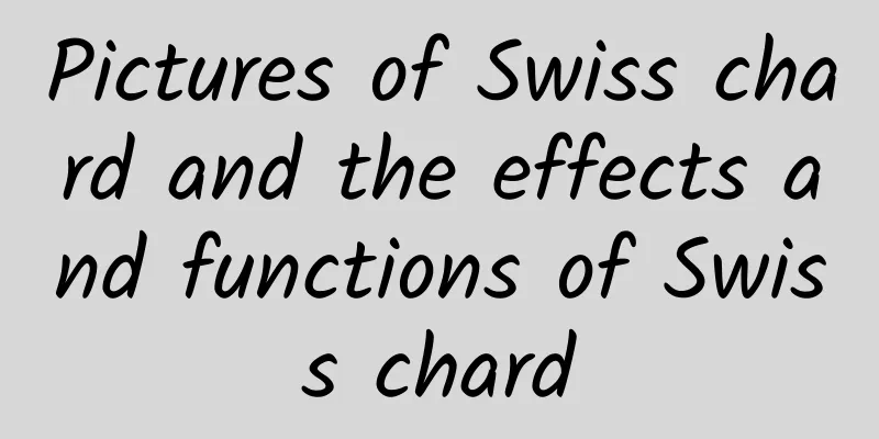 Pictures of Swiss chard and the effects and functions of Swiss chard