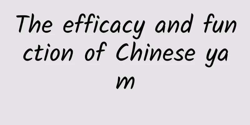 The efficacy and function of Chinese yam