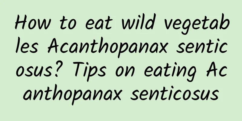 How to eat wild vegetables Acanthopanax senticosus? Tips on eating Acanthopanax senticosus