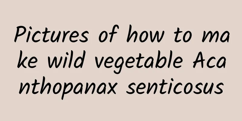 Pictures of how to make wild vegetable Acanthopanax senticosus