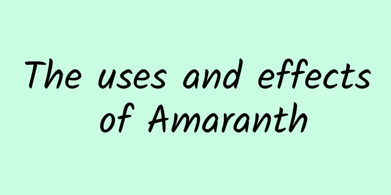 The uses and effects of Amaranth