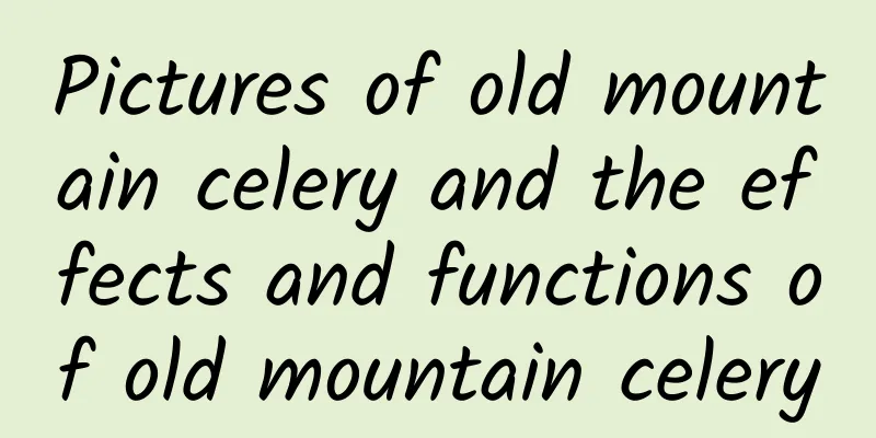 Pictures of old mountain celery and the effects and functions of old mountain celery