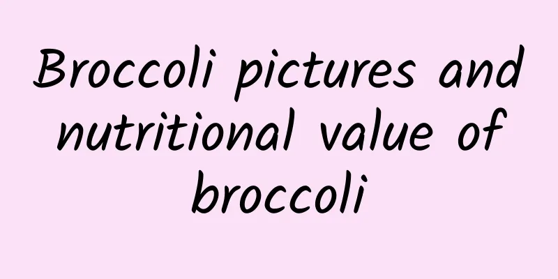 Broccoli pictures and nutritional value of broccoli