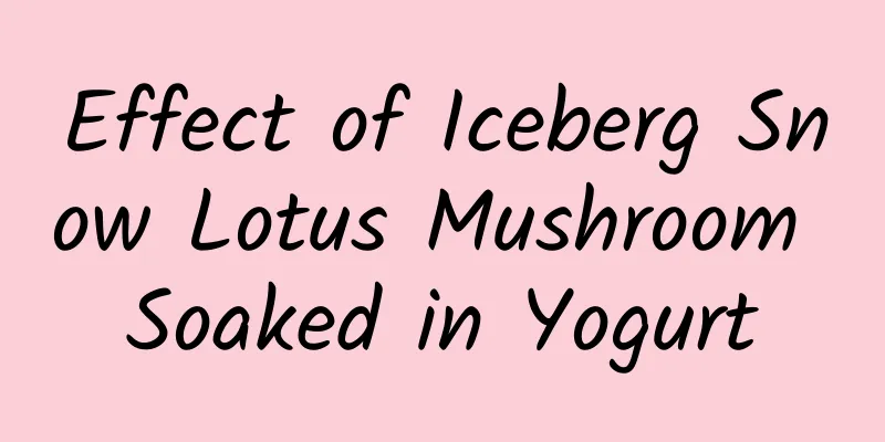 Effect of Iceberg Snow Lotus Mushroom Soaked in Yogurt