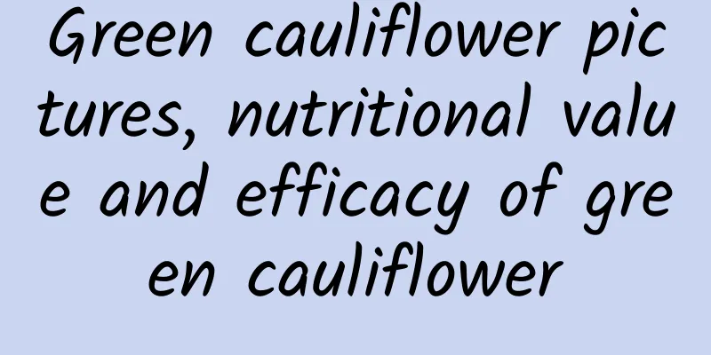 Green cauliflower pictures, nutritional value and efficacy of green cauliflower