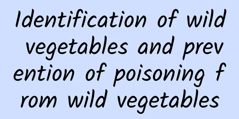 Identification of wild vegetables and prevention of poisoning from wild vegetables