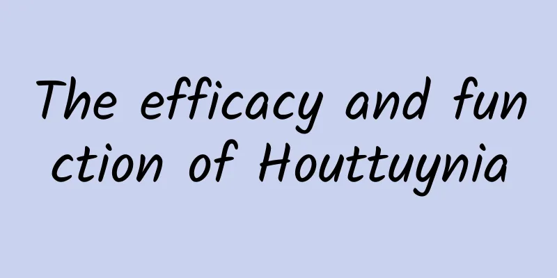 The efficacy and function of Houttuynia