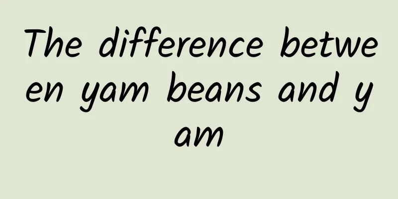 The difference between yam beans and yam