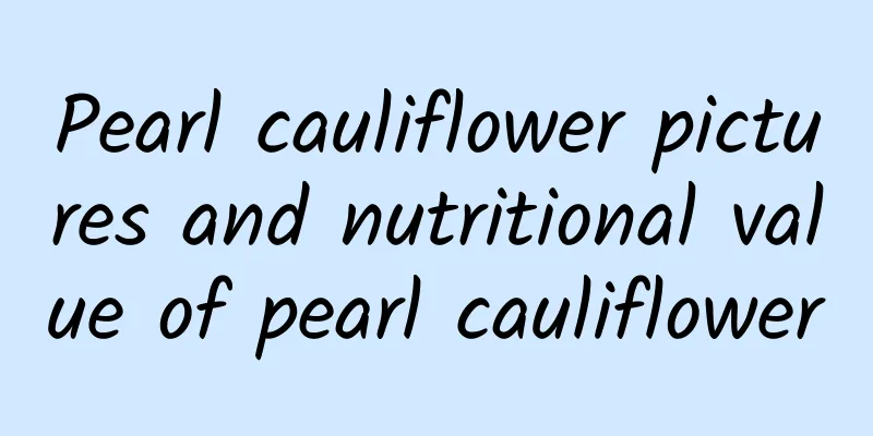 Pearl cauliflower pictures and nutritional value of pearl cauliflower