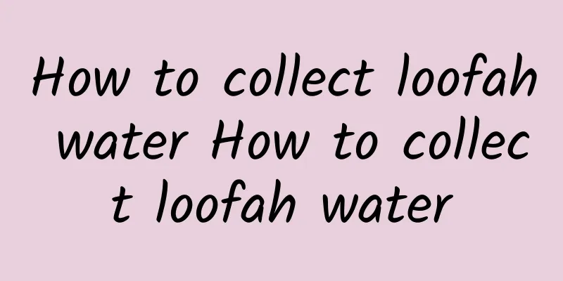 How to collect loofah water How to collect loofah water