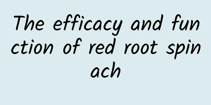 The efficacy and function of red root spinach