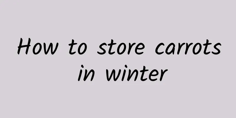 How to store carrots in winter