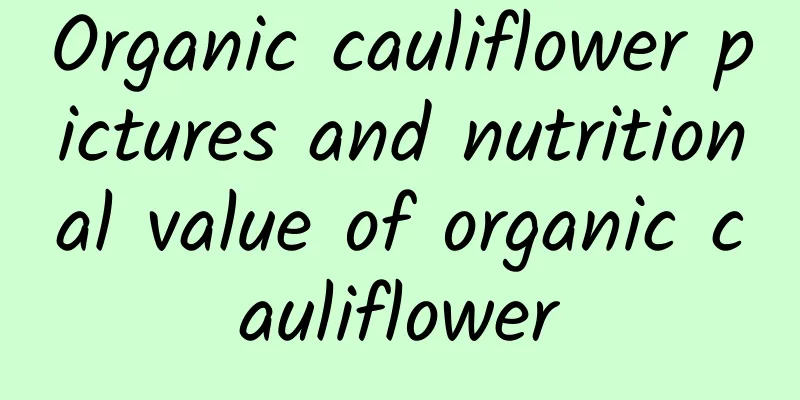 Organic cauliflower pictures and nutritional value of organic cauliflower