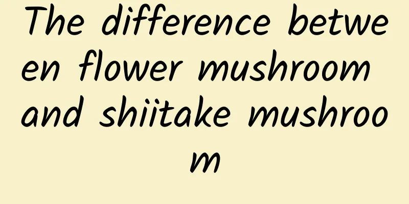 The difference between flower mushroom and shiitake mushroom