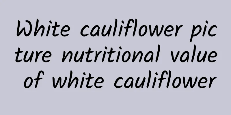 White cauliflower picture nutritional value of white cauliflower