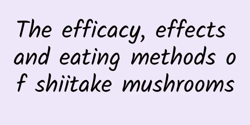 The efficacy, effects and eating methods of shiitake mushrooms