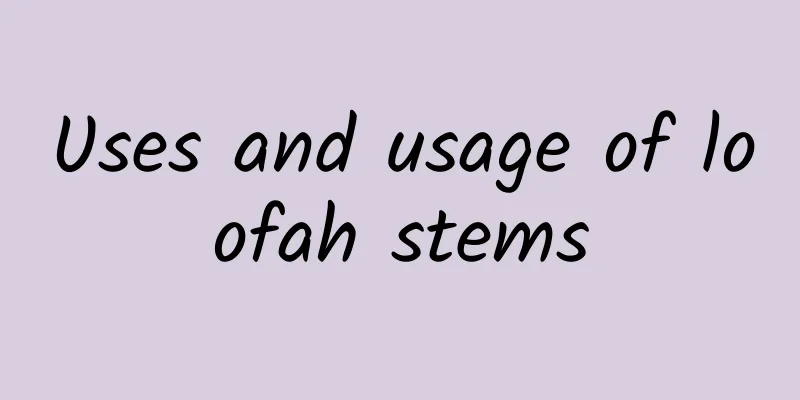 Uses and usage of loofah stems