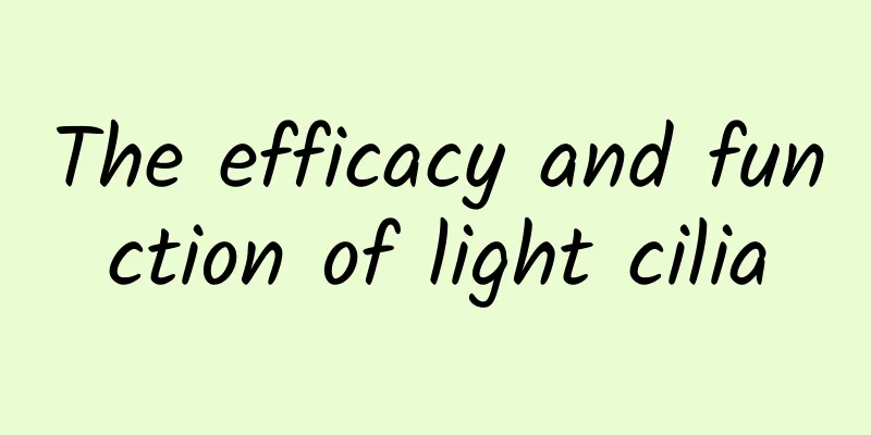 The efficacy and function of light cilia