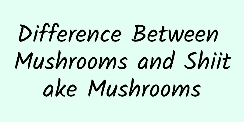 Difference Between Mushrooms and Shiitake Mushrooms