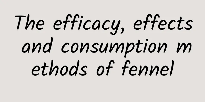 The efficacy, effects and consumption methods of fennel