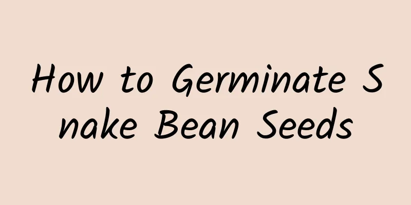 How to Germinate Snake Bean Seeds