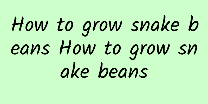 How to grow snake beans How to grow snake beans